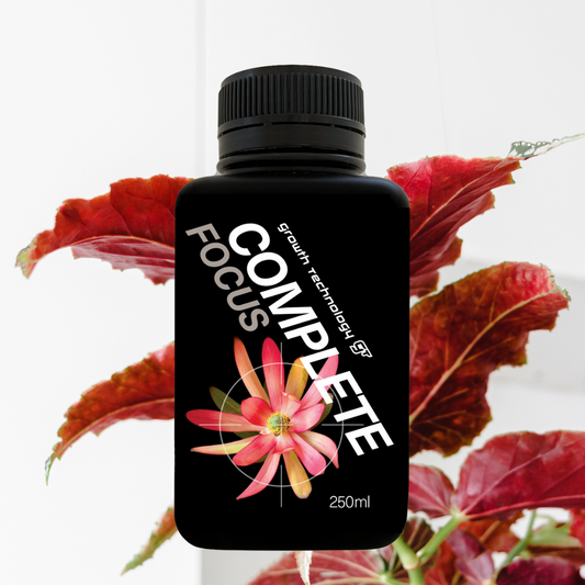 GT Complete Focus 250_2023.png