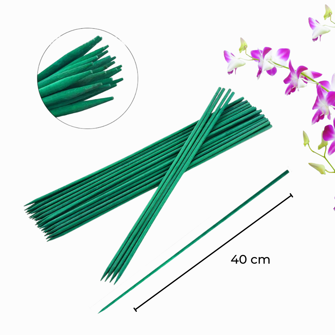 bamboo plant stake 40cm.png