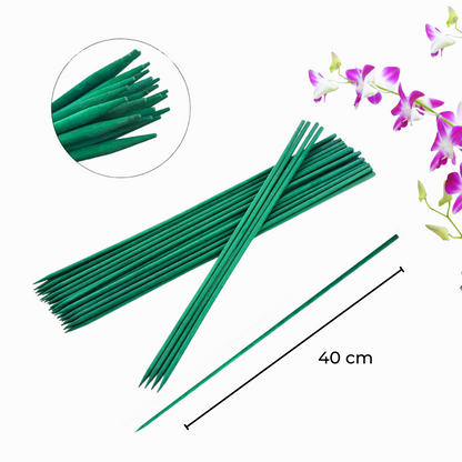 bamboo plant stake 40cm.png