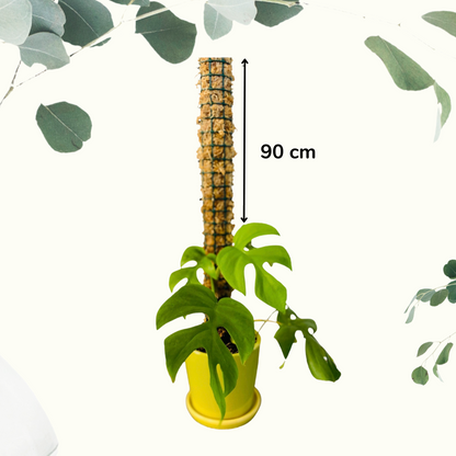 Moss Poles 45 90 (1).png