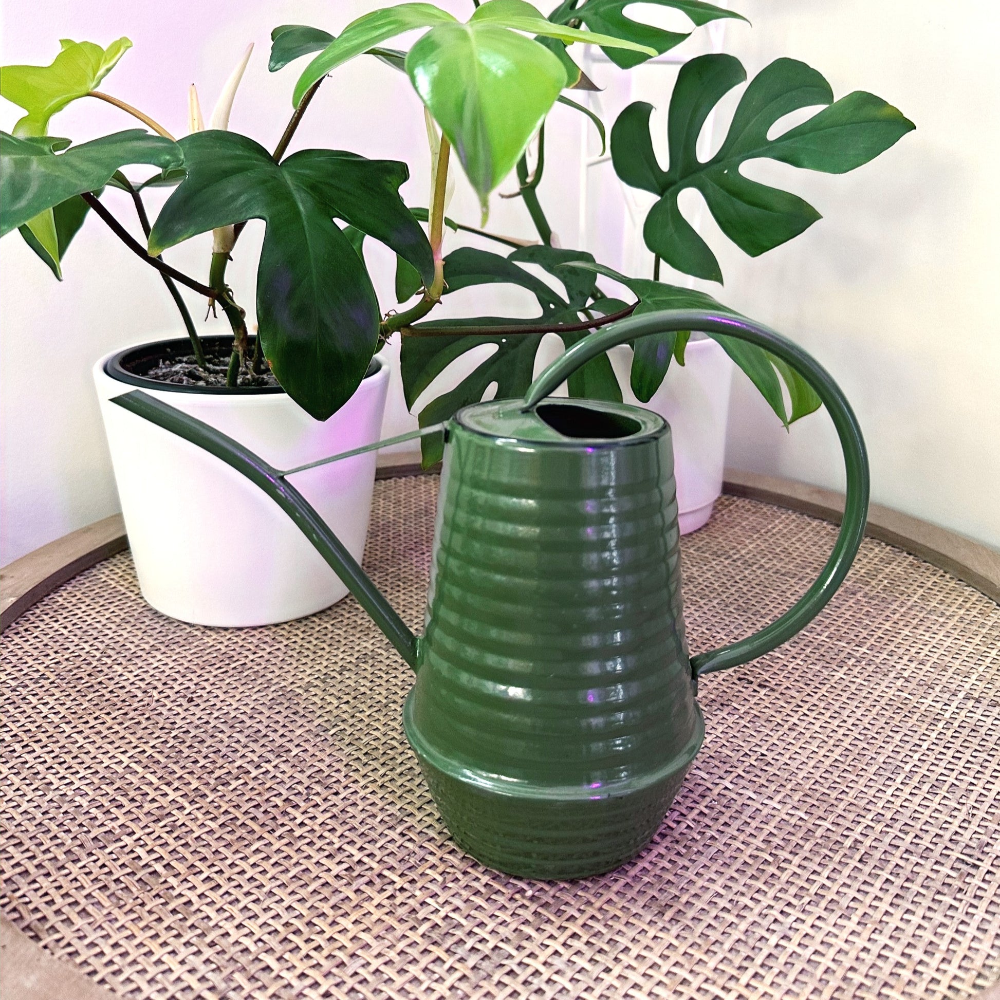 Esscherts watering can Grn Gry Crm (9)_edited.jpg