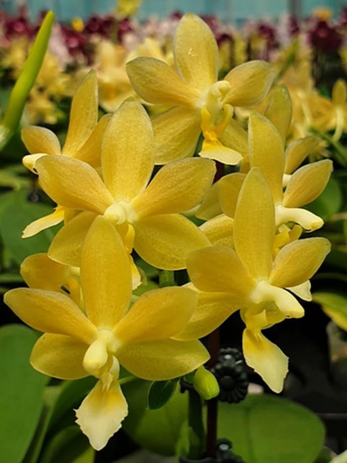 ?!label-Indicative photo