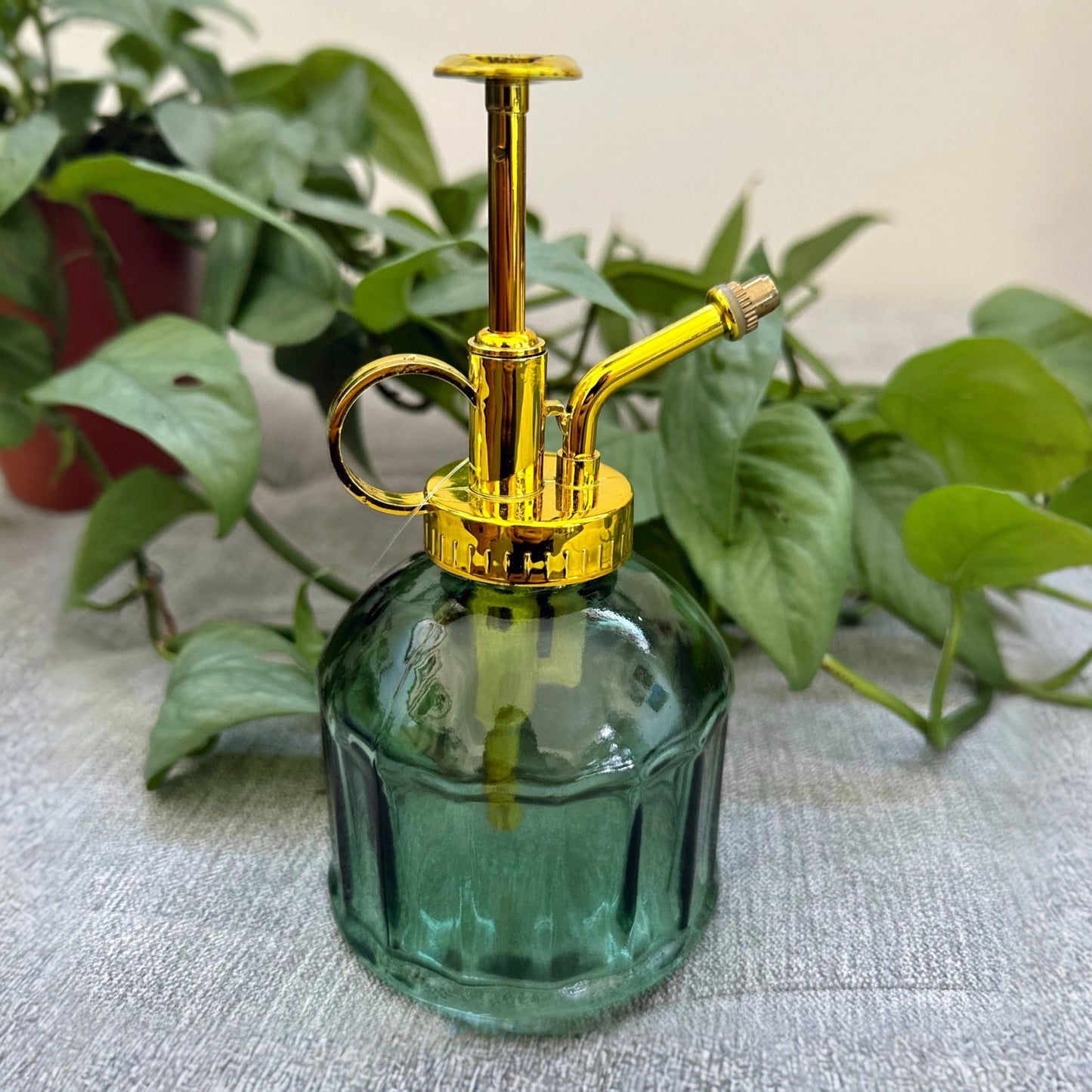 Esschert Plant mister green (7)_edited_edited.jpg