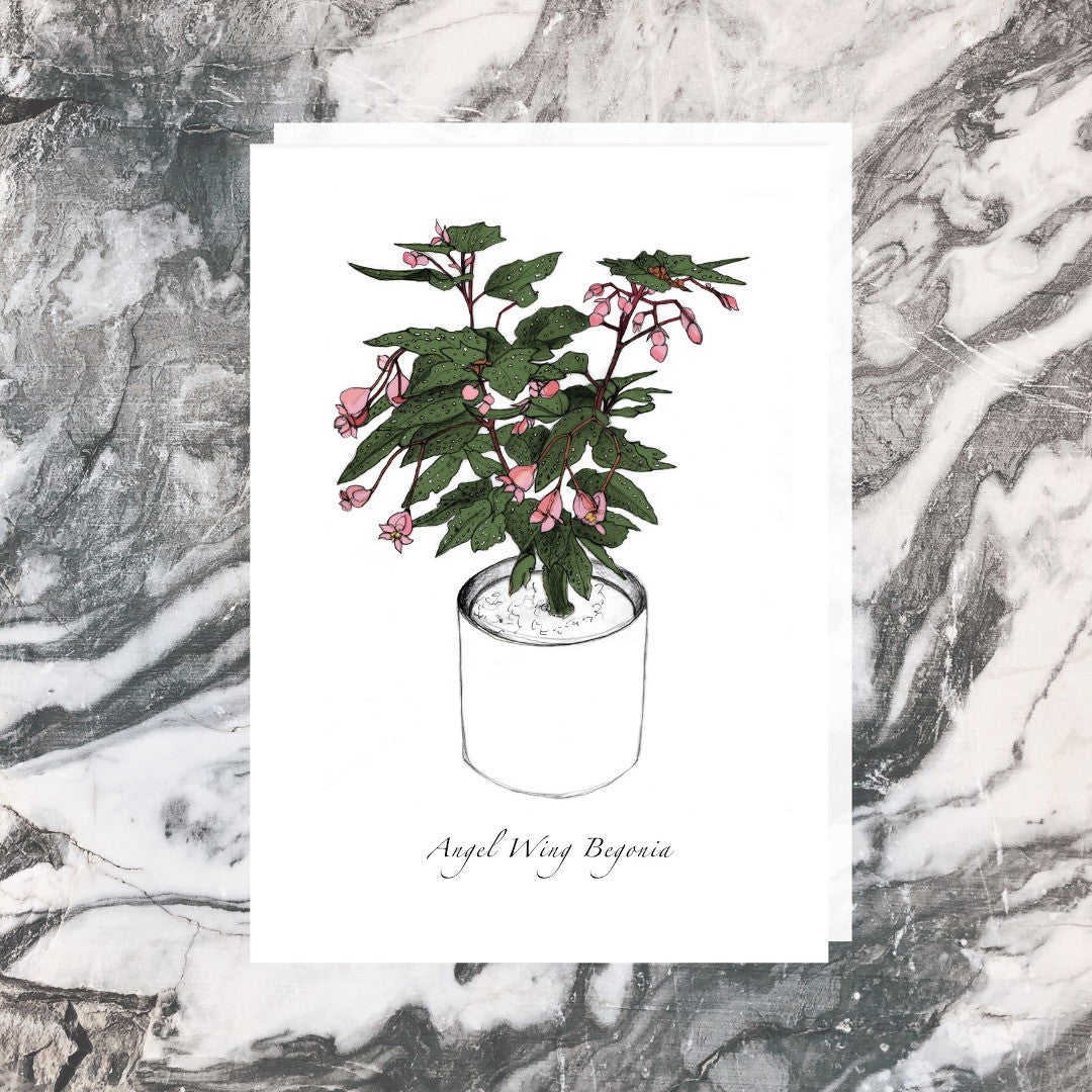 Jade Ell Greeting Cards_Angel Wing Begonia_edited.jpg