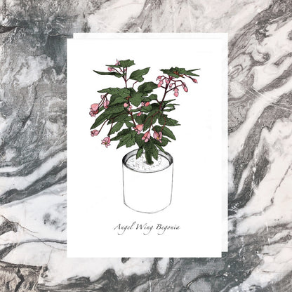 Jade Ell Greeting Cards_Angel Wing Begonia_edited.jpg