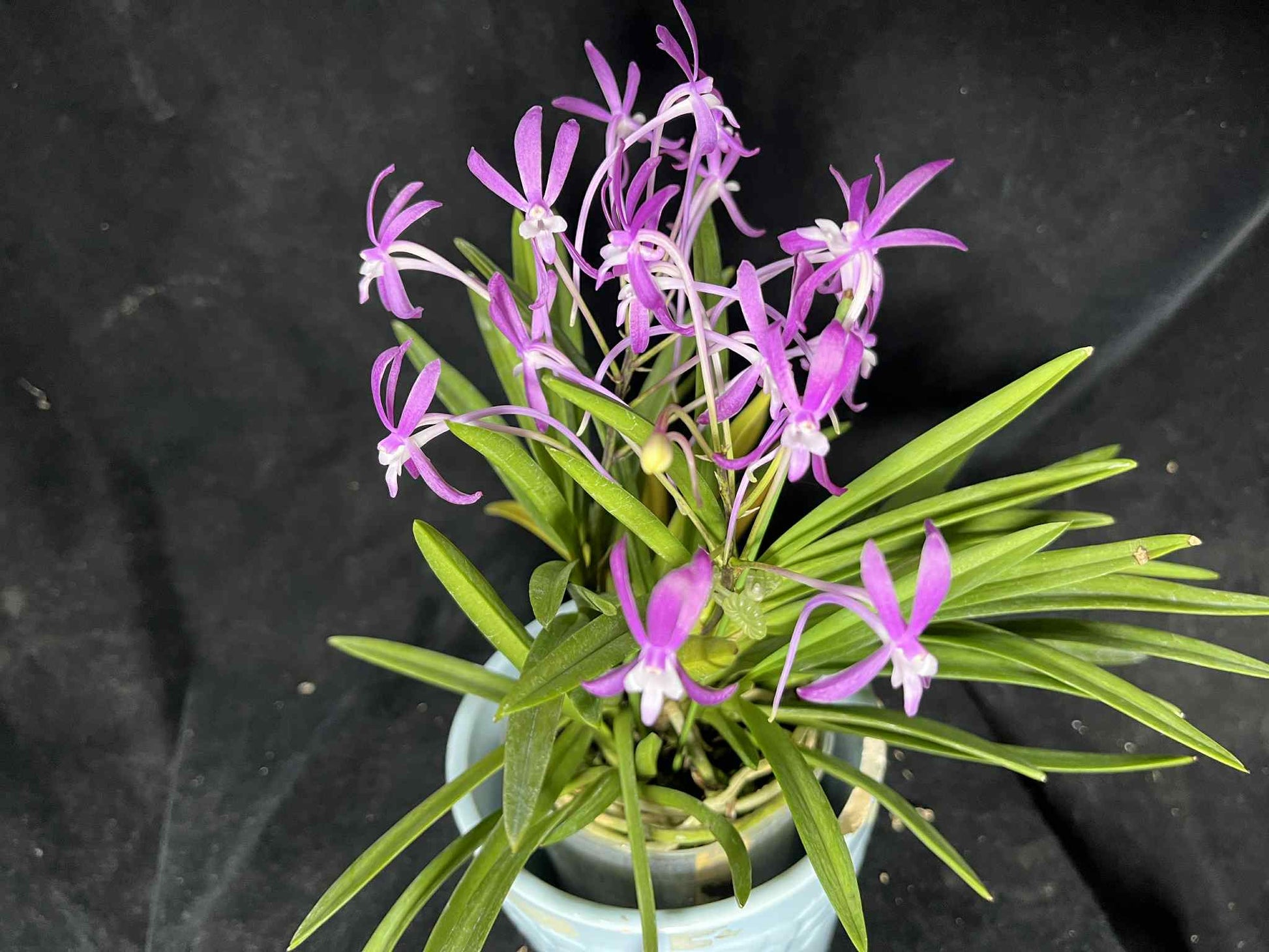 ?!label-Indicative photo