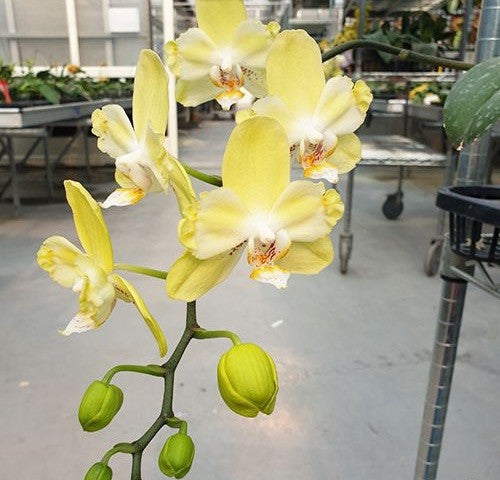 ?!label-Indicative photo