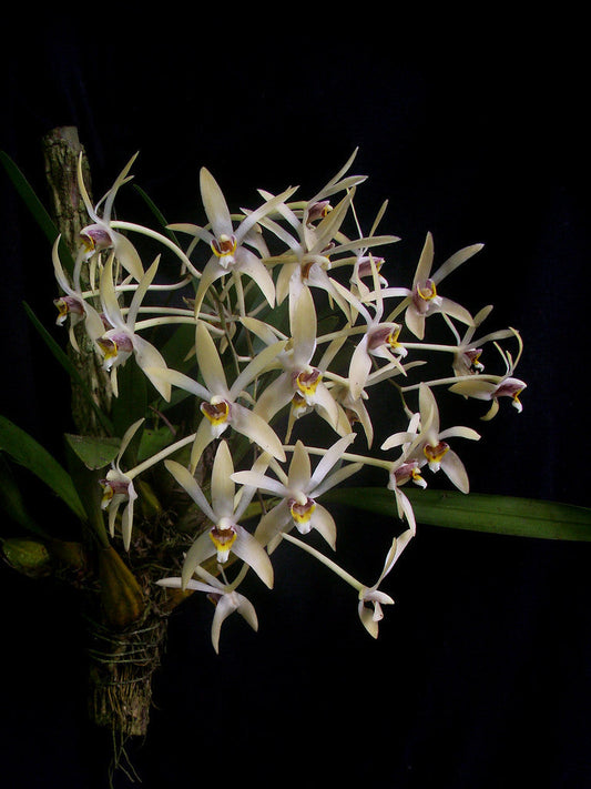 ?!label-Indicative photo