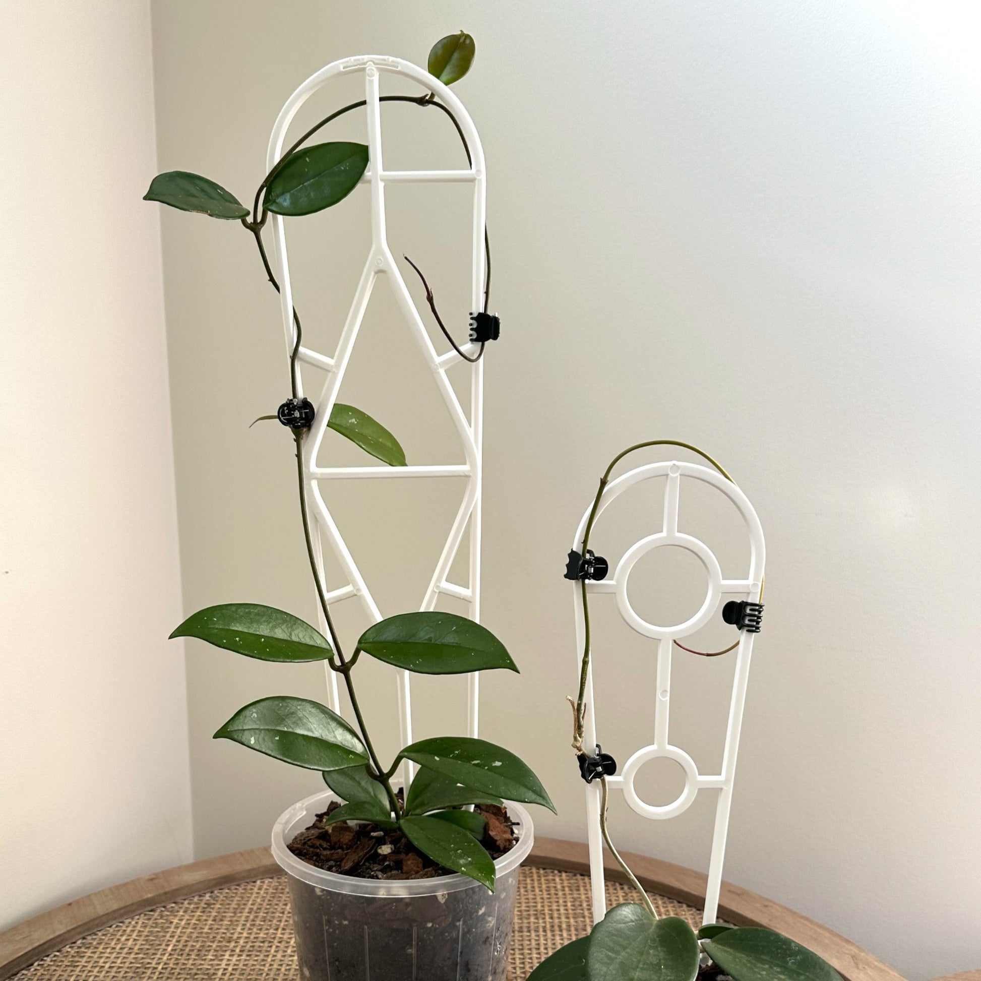 Plant Support trellis black 45 30 (4)_edited_edited.jpg