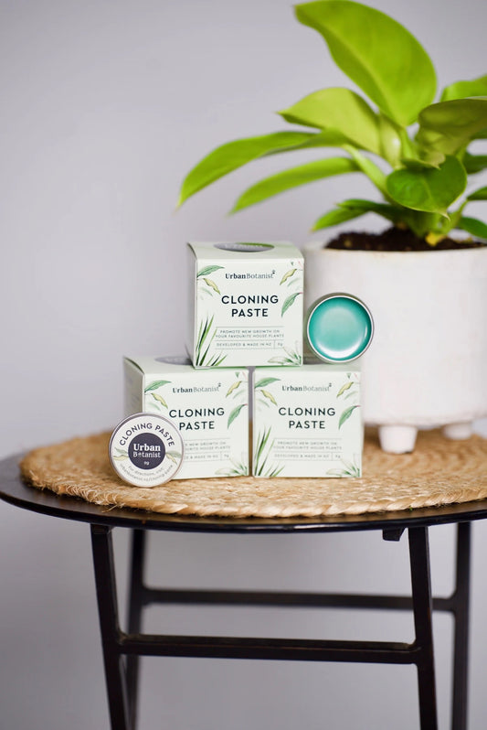 Cloning Paste  Urban Botanist.avif