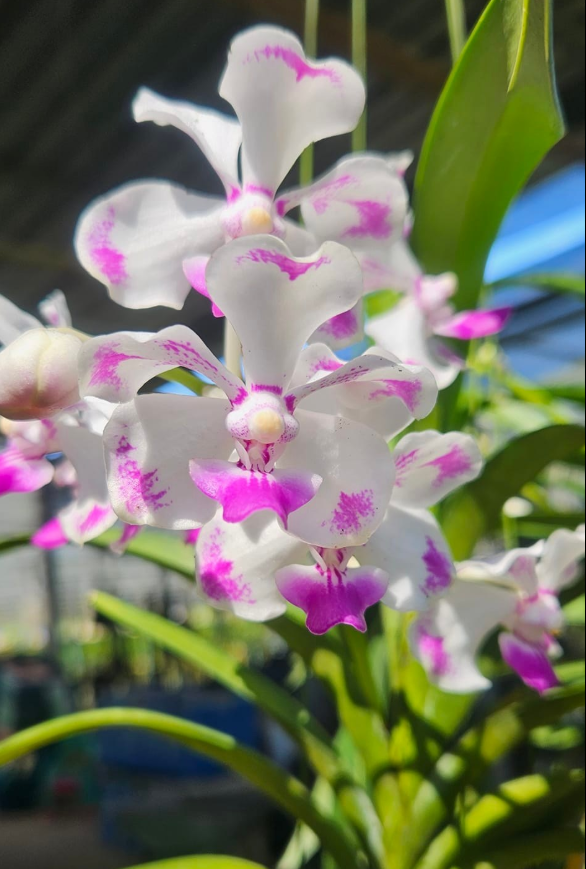 ?!label-Indicative photo