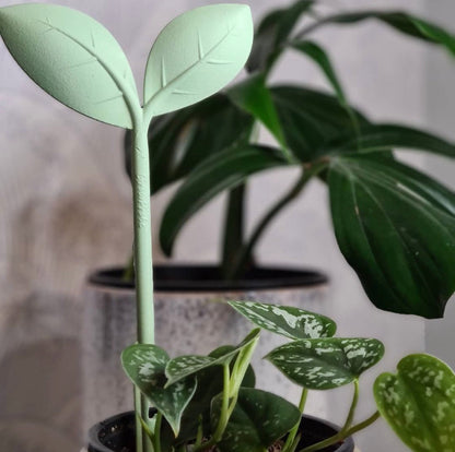 GrowProbe (3).jpg