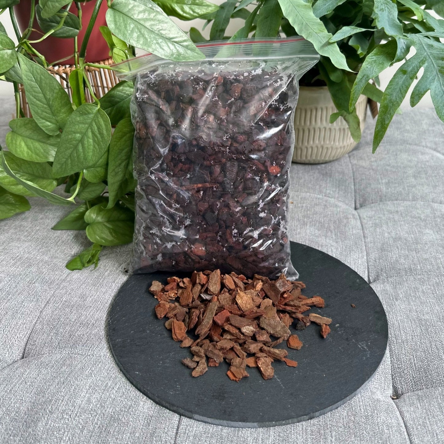 GM Orchid Bark 2L (3)_edited_edited_edited.jpg