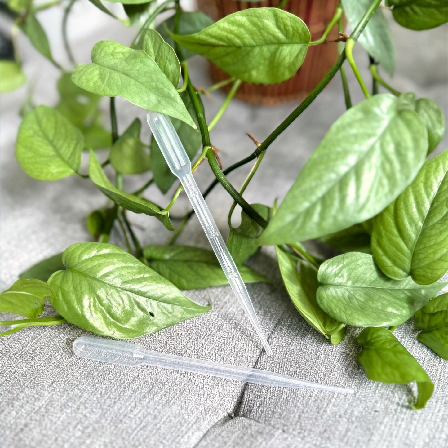 Pipette (5)_edited_edited.jpg