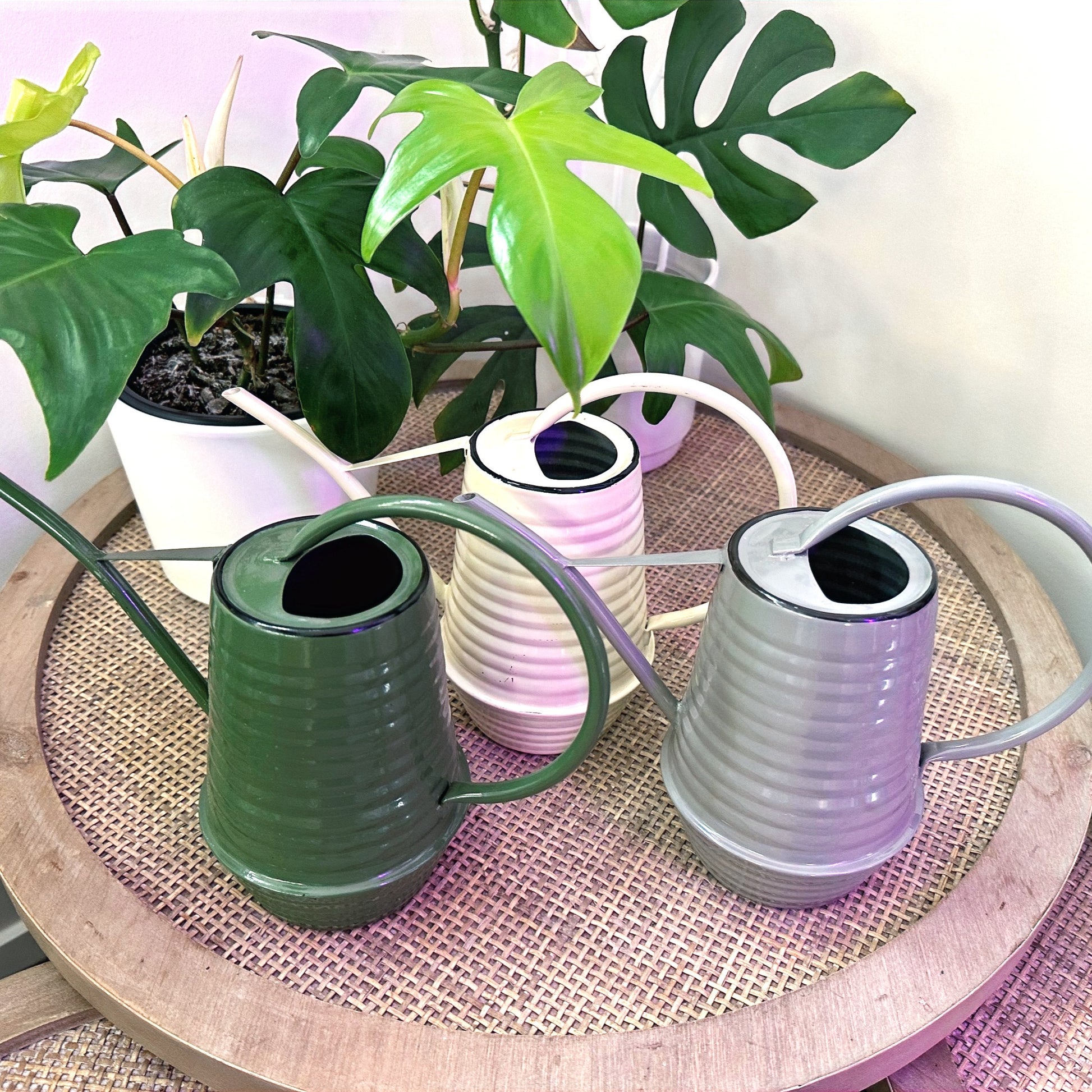 Esscherts watering can Grn Gry Crm (2)_edited.jpg