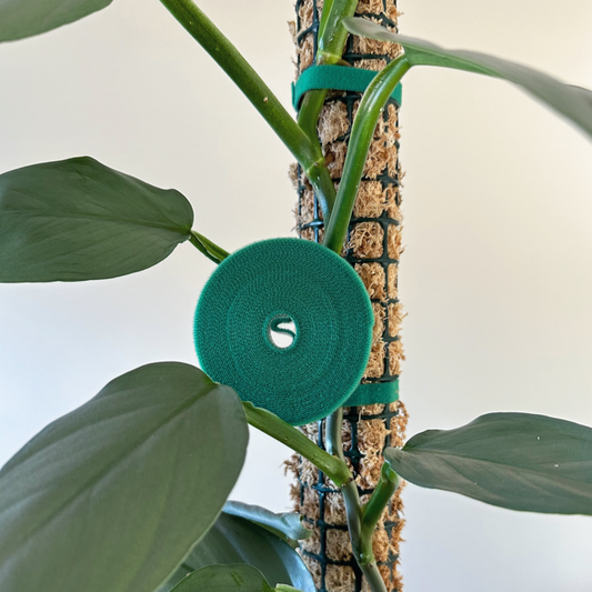 Velcro plnt tie 5m (5)_edited.png