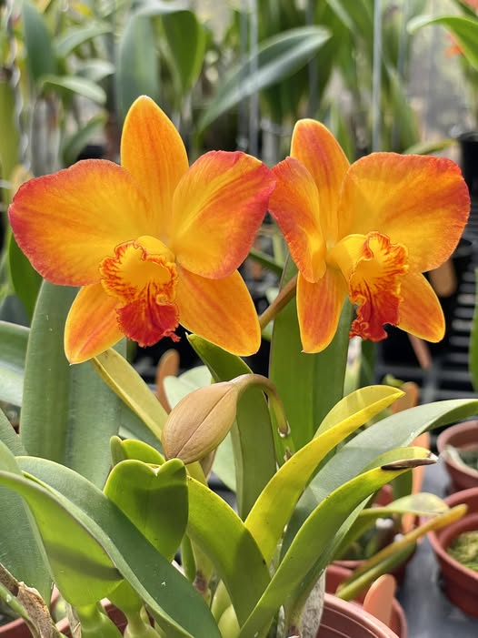 ?!label-Indicative photo