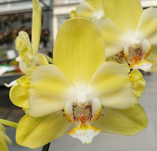 ?!label-Indicative photo