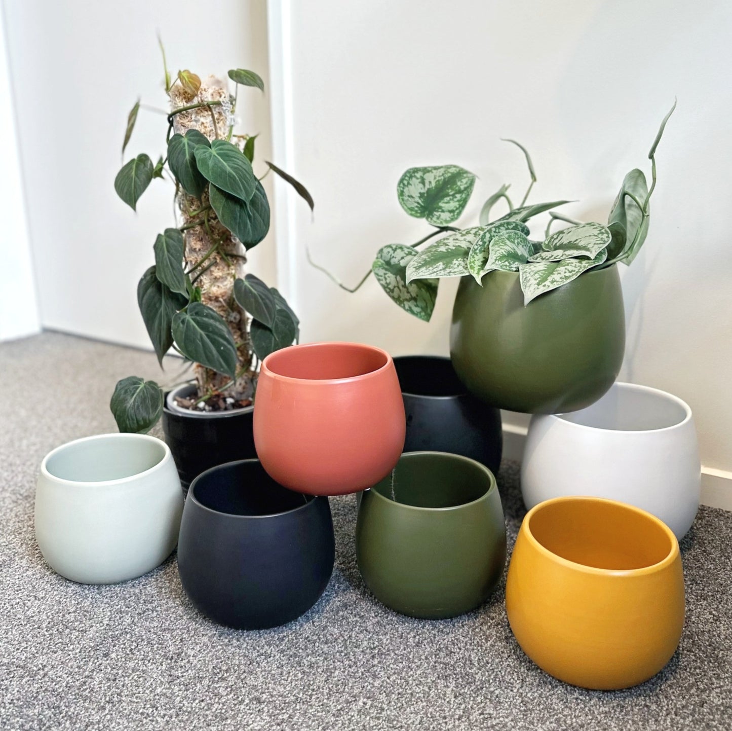 Lifestyle ceramic pots (8)_edited_edited.jpg