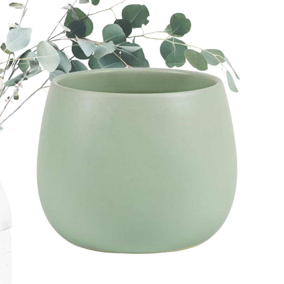 Orchid Pot LSHW H13xD13 (6).png