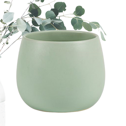 Orchid Pot LSHW H13xD13 (6).png