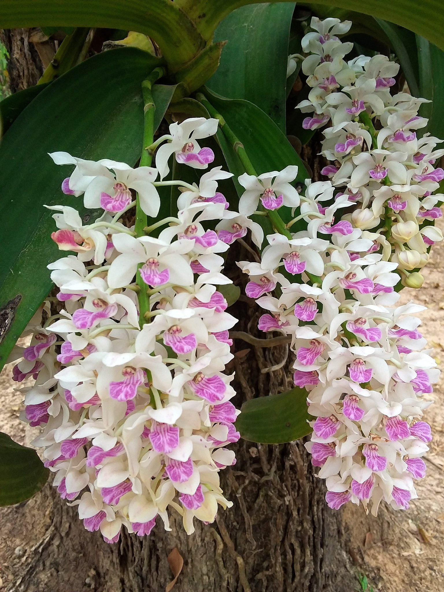 ?!label-Indicative photo