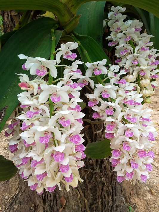 ?!label-Indicative photo