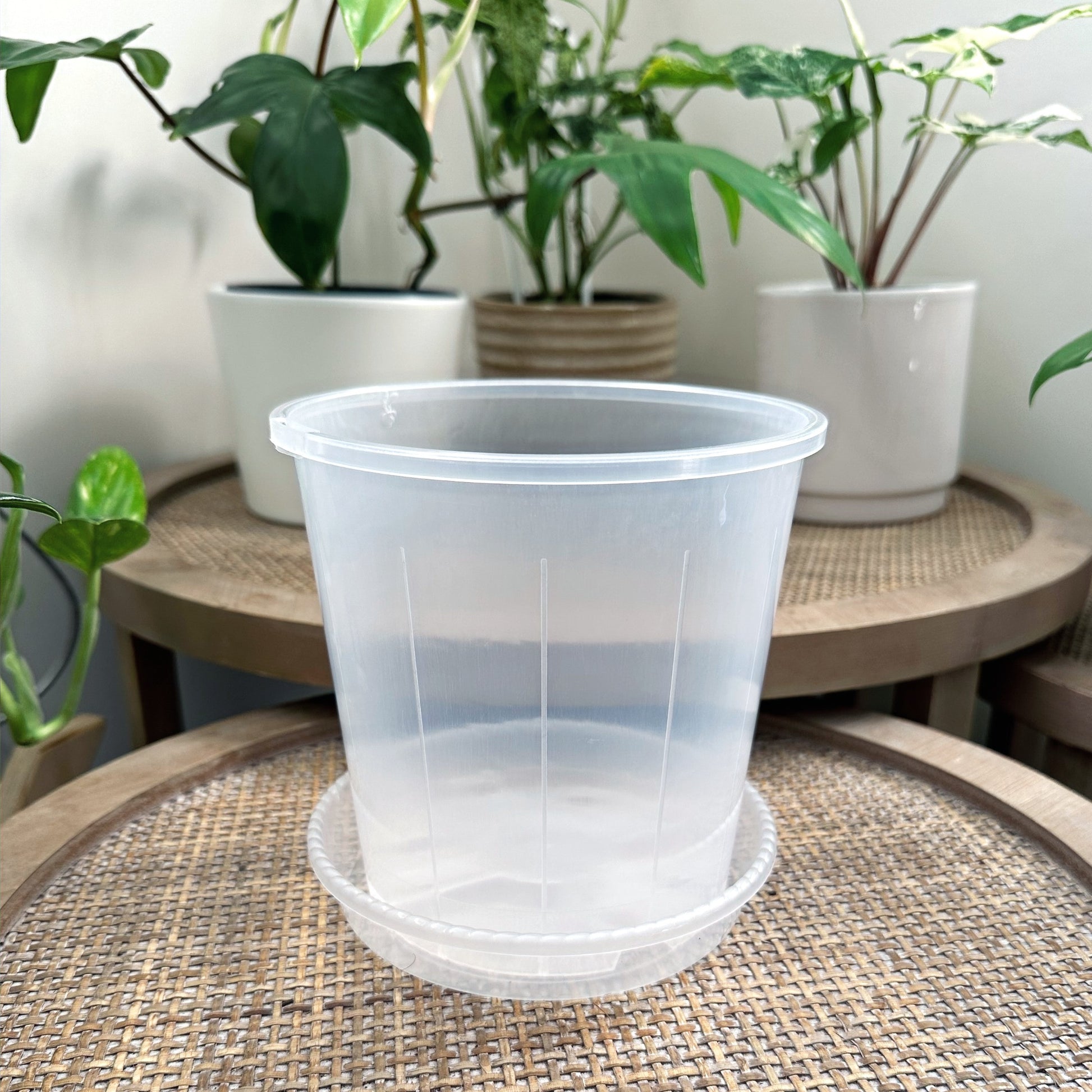 Clear Plant Saucer 14cm (2)_edited.jpg