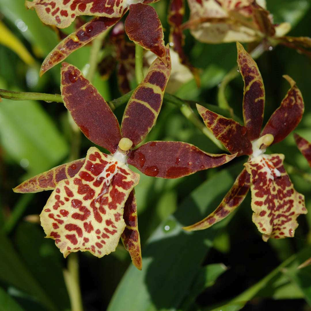 ?!label-Indicative photo