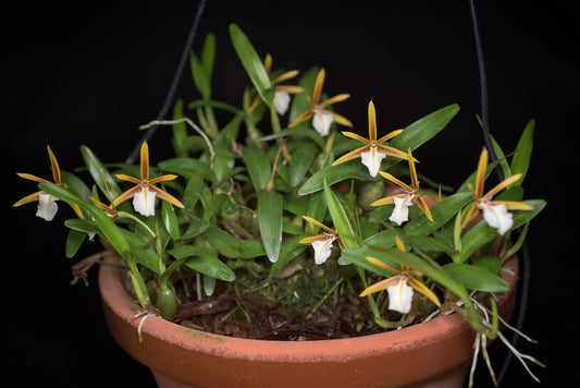 ?!label-Indicative photo