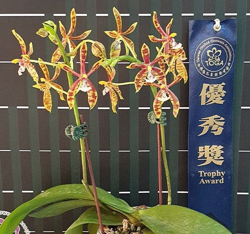 ?!label-Indicative photo