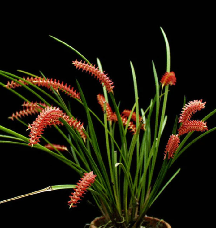 ?!label-Indicative photo