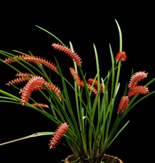 ?!label-Indicative photo