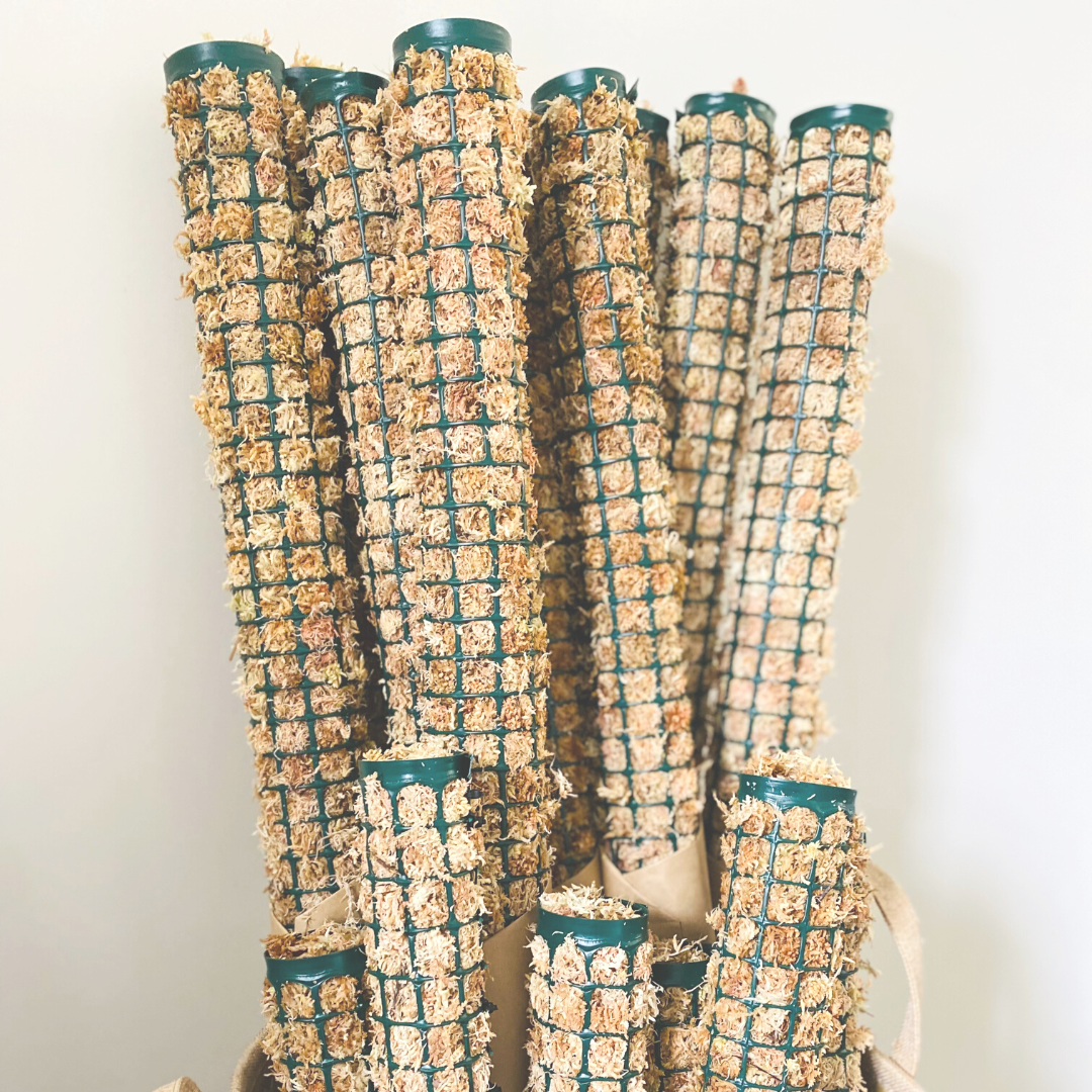 Moss Poles.png