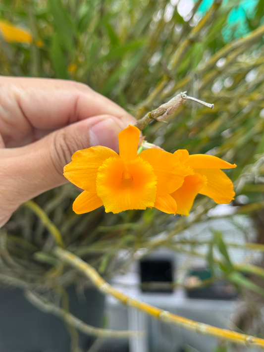 ?!label-Indicative photo