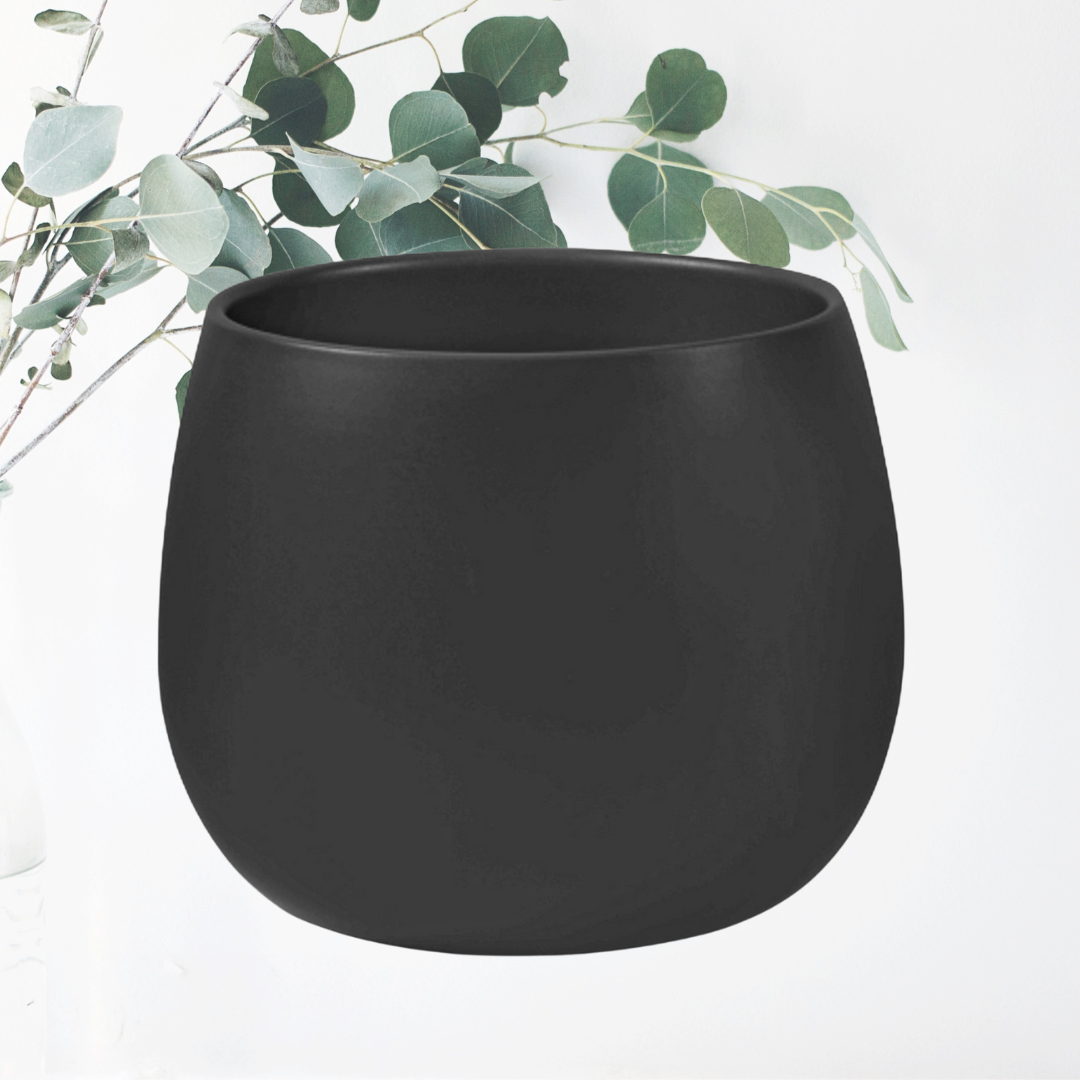 Orchid Pot LSHW H13xD13 (1).png