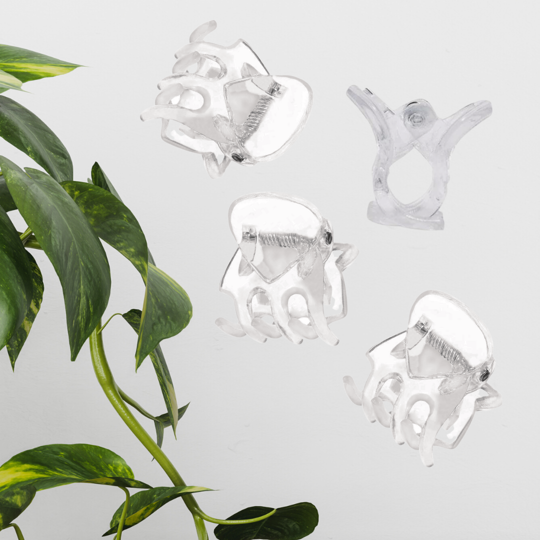 Clear Plant Clips (1).png