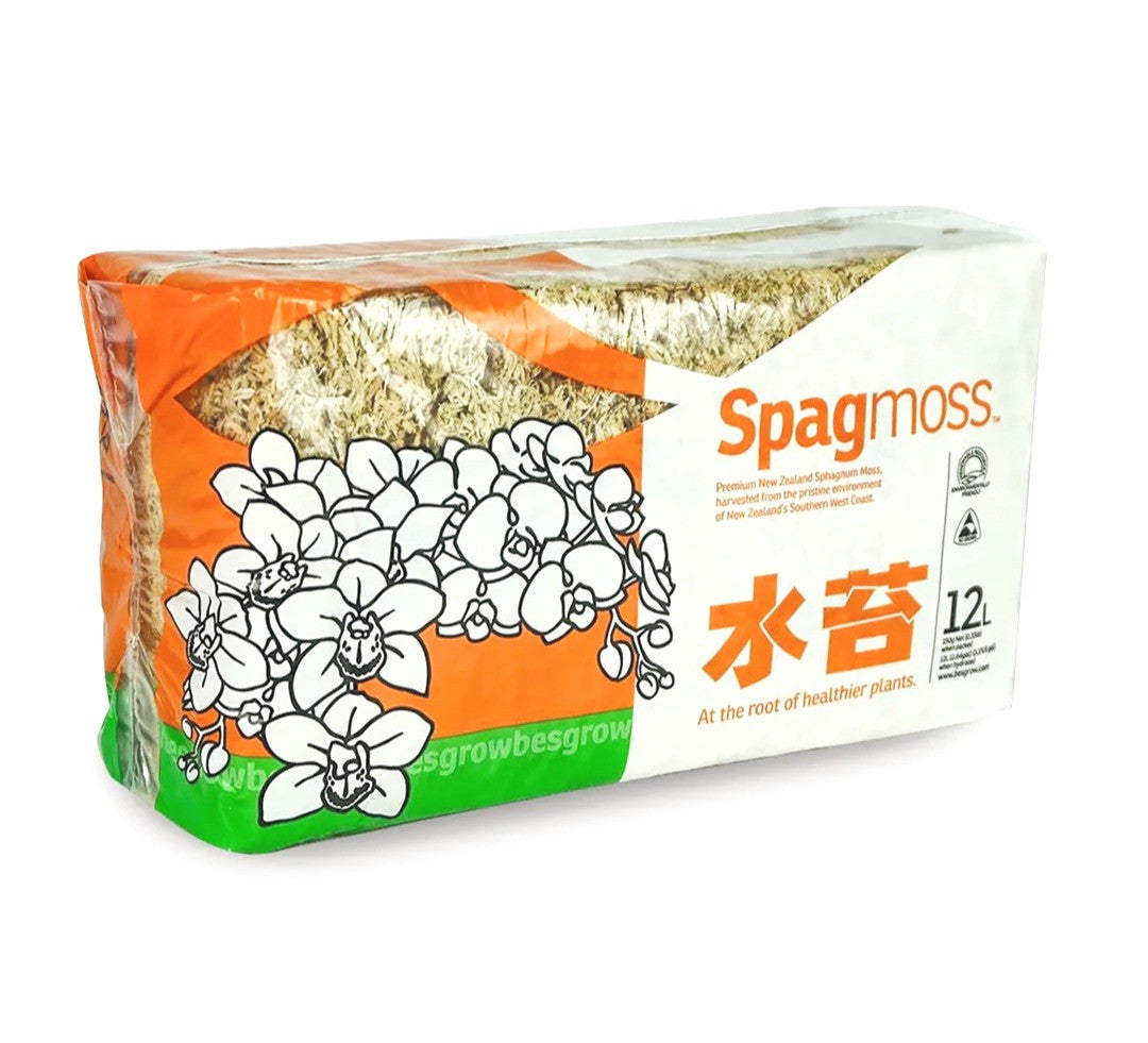 Spagmoss 150g_1_edited.jpg