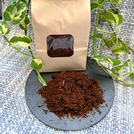 GM Fern Fibre 2L  (4)_edited_edited.jpg