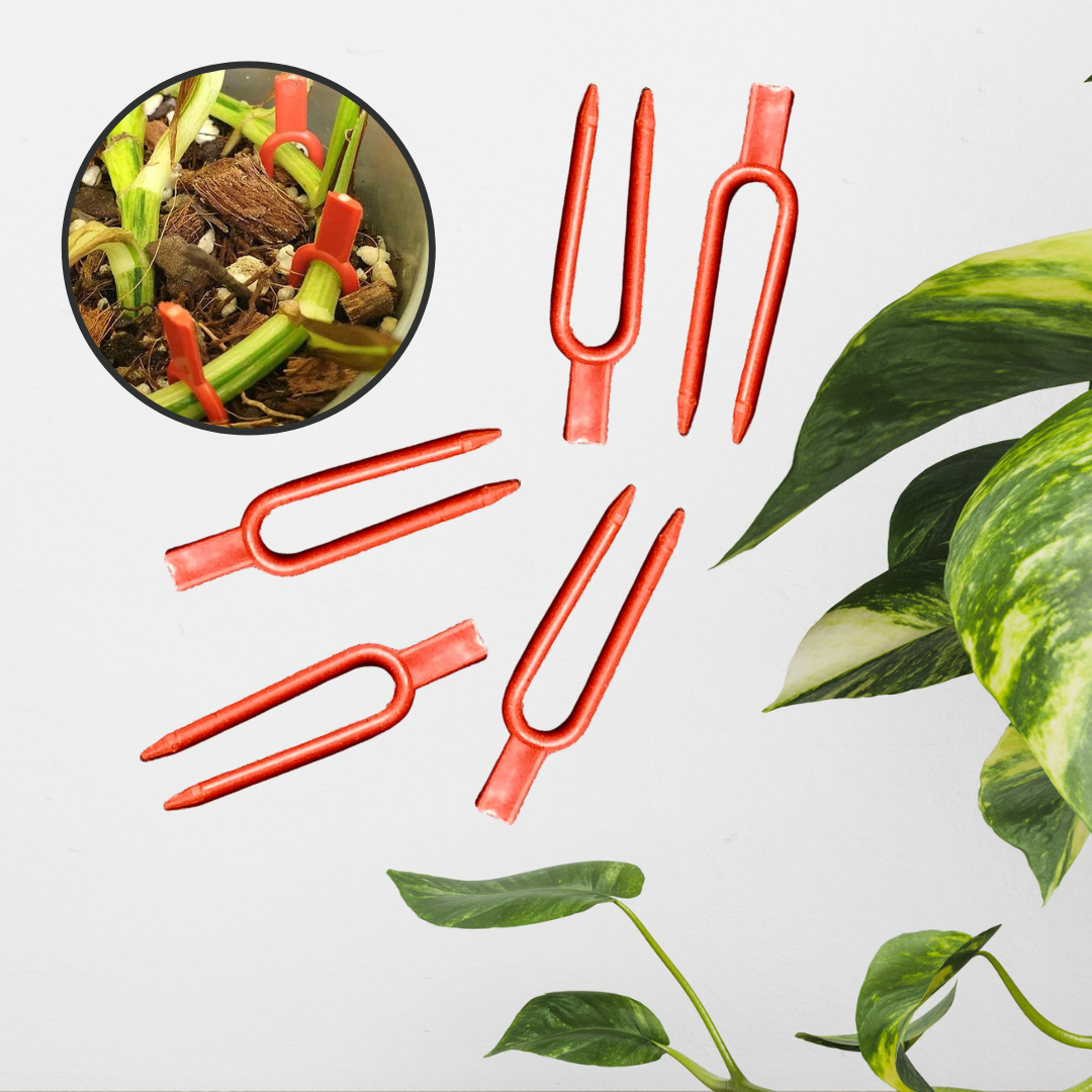 Soil pins Gr+Rd (2).png