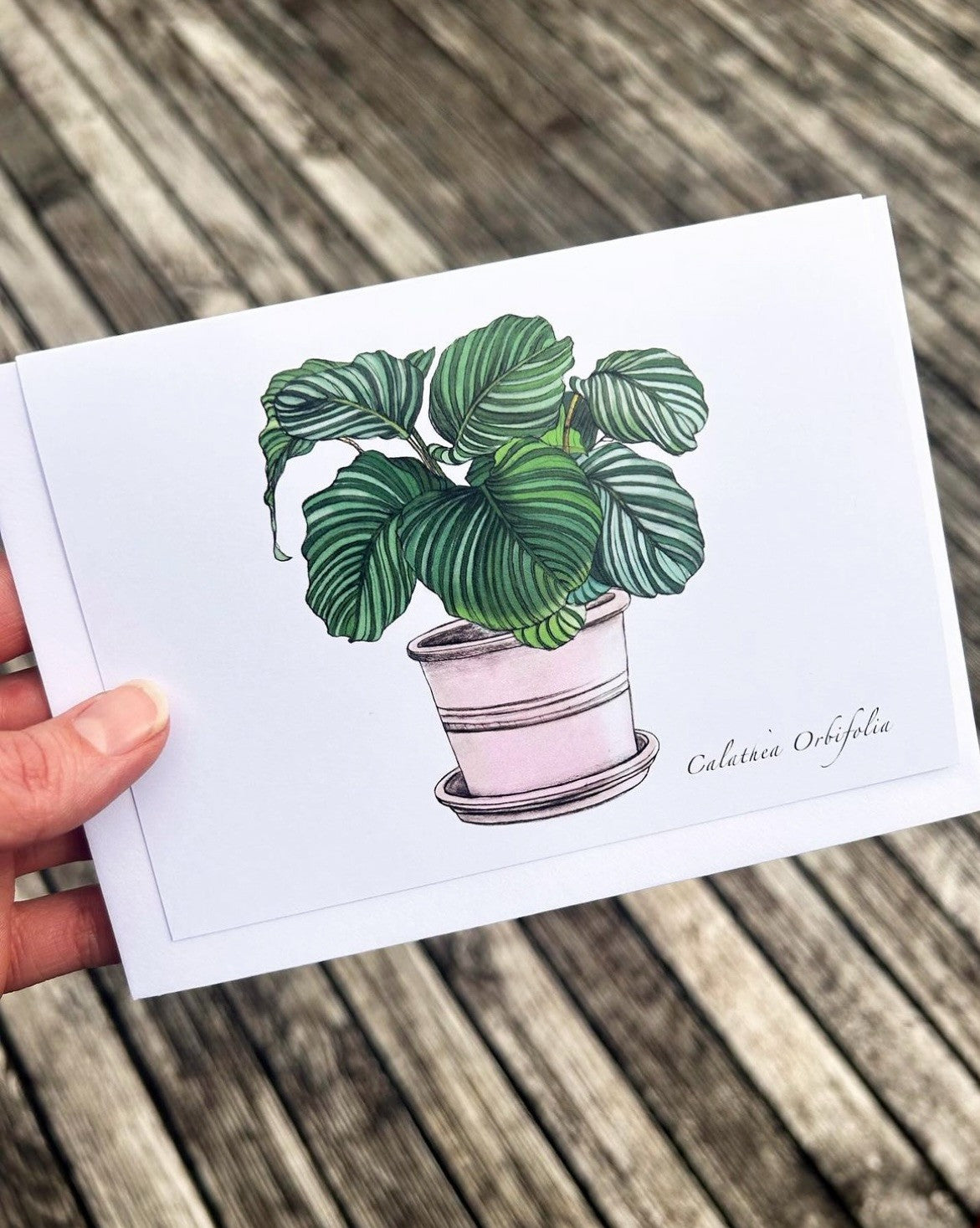 Jade Ell Greting Cards FS_2023 (2)_edited.jpg