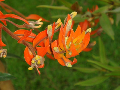 ?!label-Indicative photo