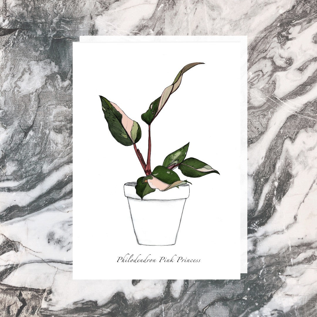 Jade Ell Greeting Cards_PPink Princess_edited.jpg