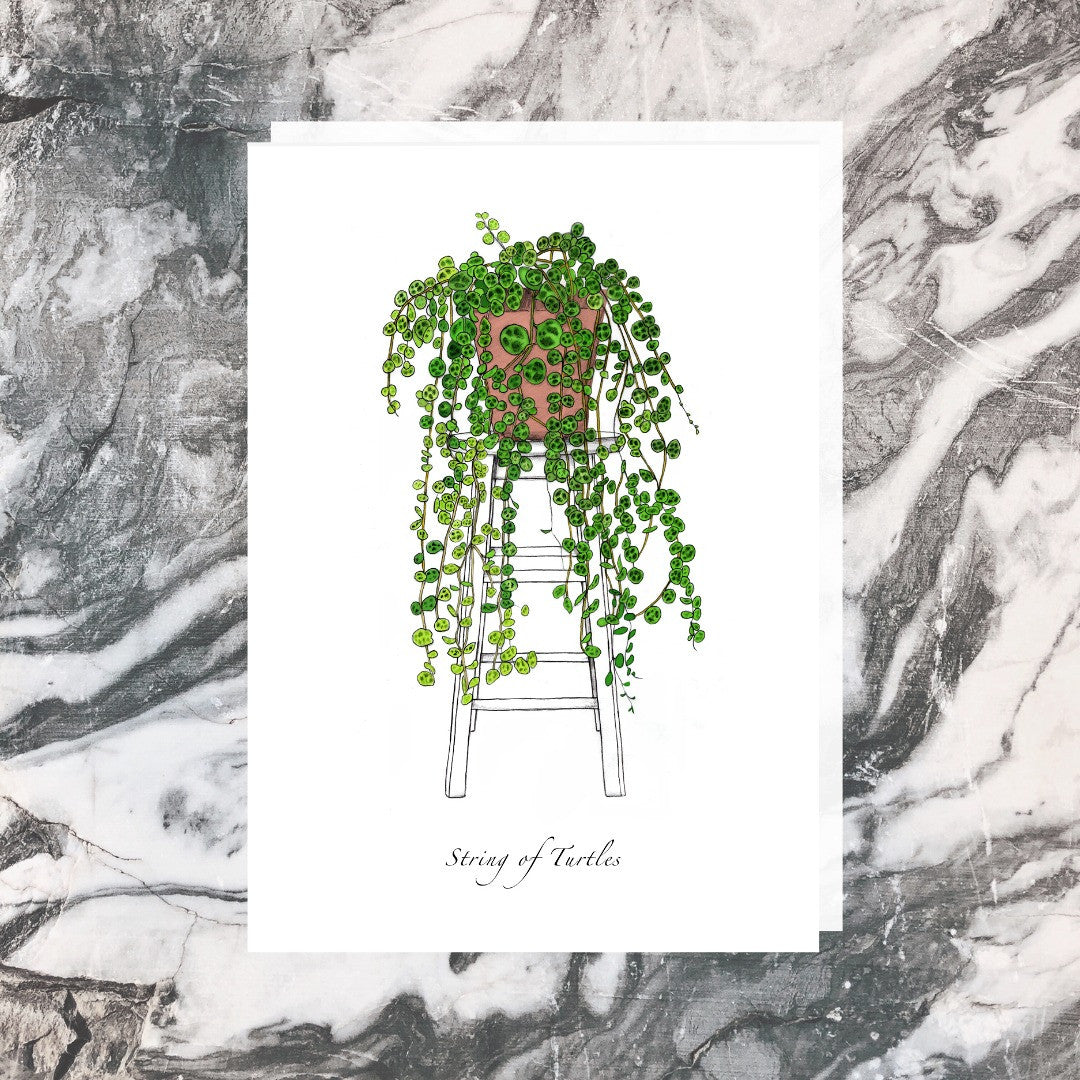 Jade Ell Greeting Cards_String of Turtles_edited.jpg