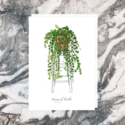 Jade Ell Greeting Cards_String of Turtles_edited.jpg
