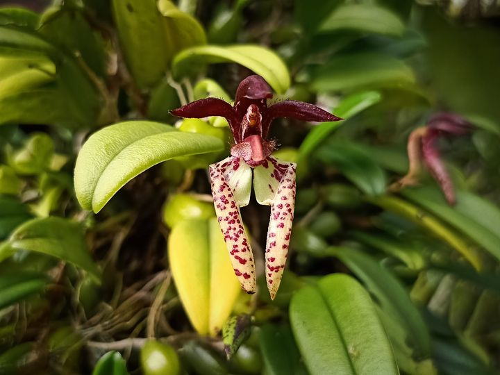 ?!label-Indicative photo