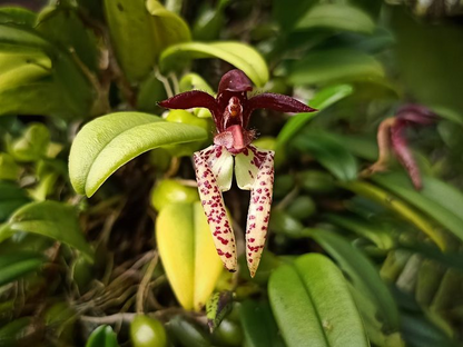 ?!label-Indicative photo