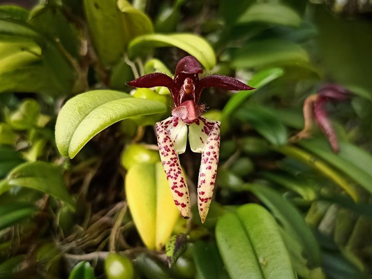 ?!label-Indicative photo