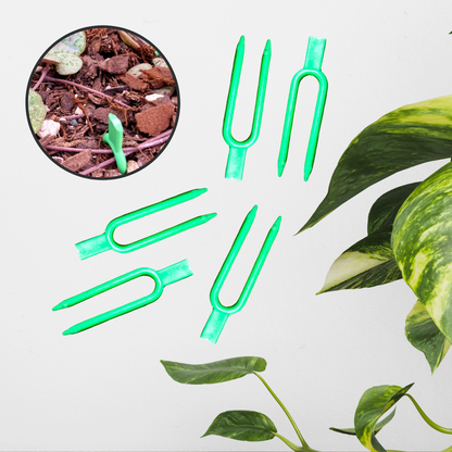 Soil pins Gr+Rd (3).png