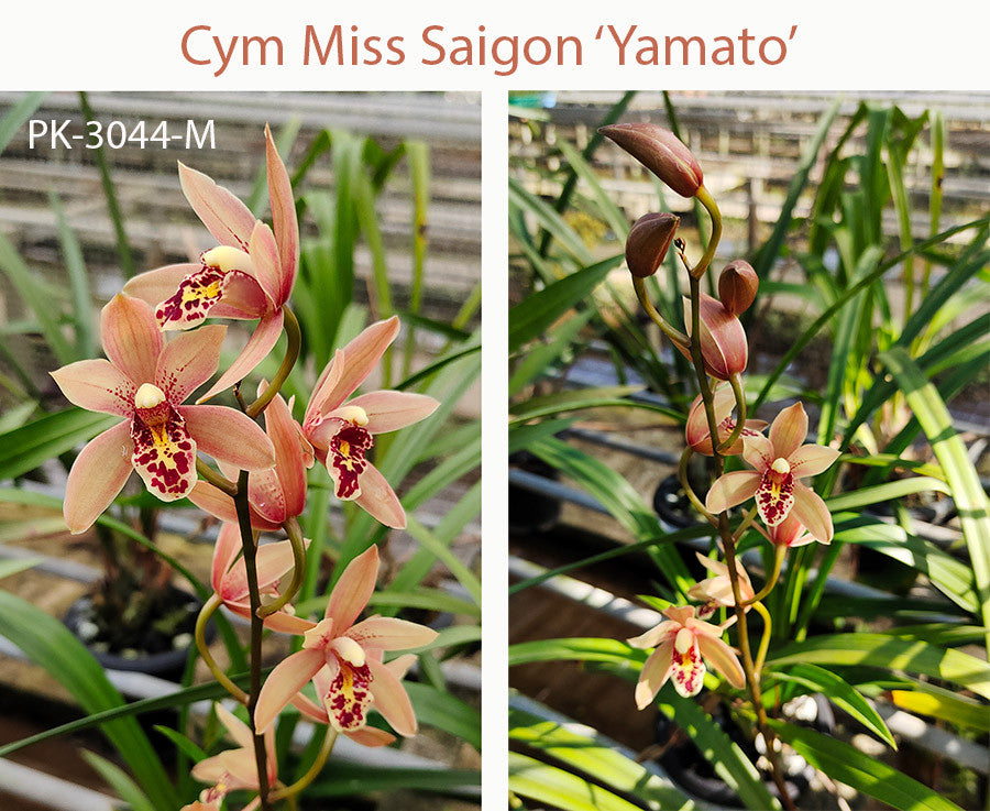 ?!label-Indicative photo